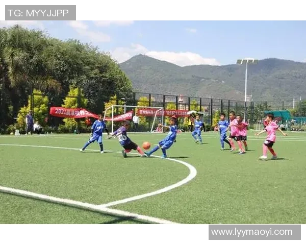 探索叶子足球的魅力与技巧让每一场比赛都充满乐趣与激情