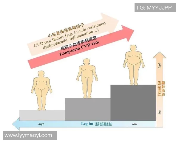 探索足球弹性肌的训练方法与对运动表现的影响分析 探索足球弹性肌的训练方法与对运动表现的影响分析
