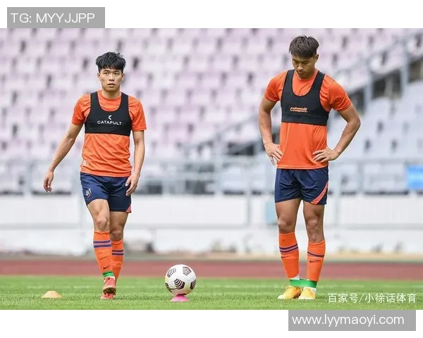 湖北足球球队崛起之路探索地方足球发展新机遇与挑战