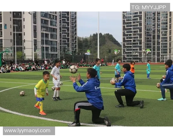足球放定的魅力与挑战探讨如何提升青少年足球水平与参与度