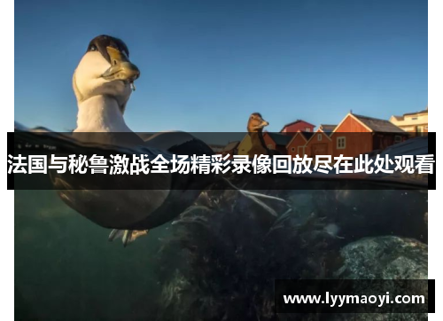 法国与秘鲁激战全场精彩录像回放尽在此处观看